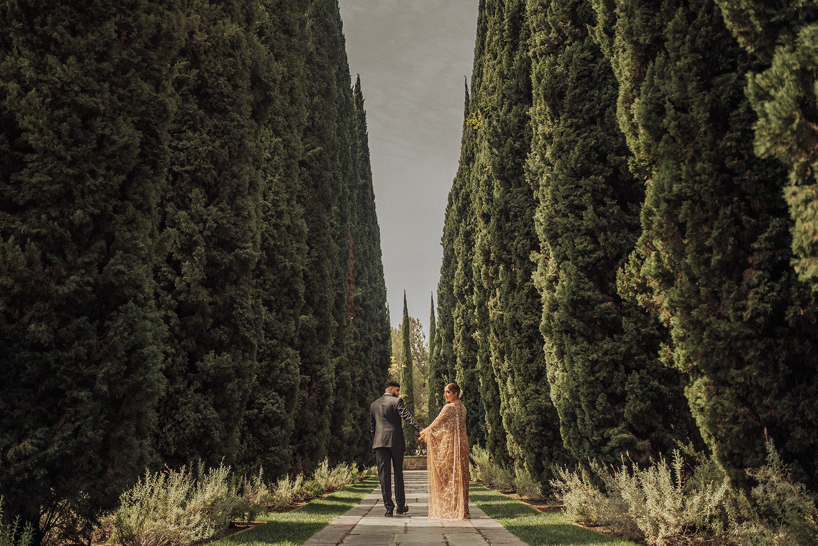 Paman and Jagvir engagement at Greystone Mansion in California — the couple walking a path between towering cypress trees, the bride in a gold cape gown and the groom in a suit